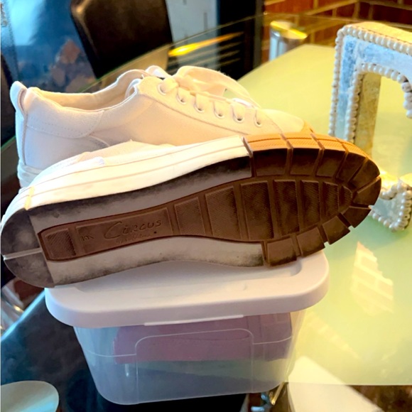 Circus-SamEdelman - Picture 7 of 8